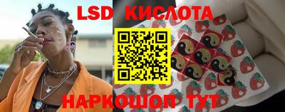 прущие крисы Кандалакша