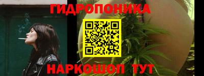 прущие крисы Кандалакша