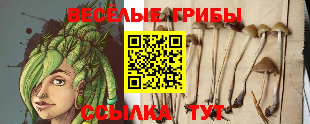 Владивосток  Галлюциногенные грибы мицелий  Вход с VPN 